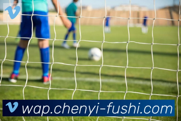 九游j9官网首页登录平台生态图