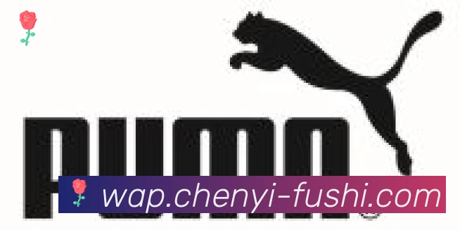 九游j9官网首页登录合作伙伴